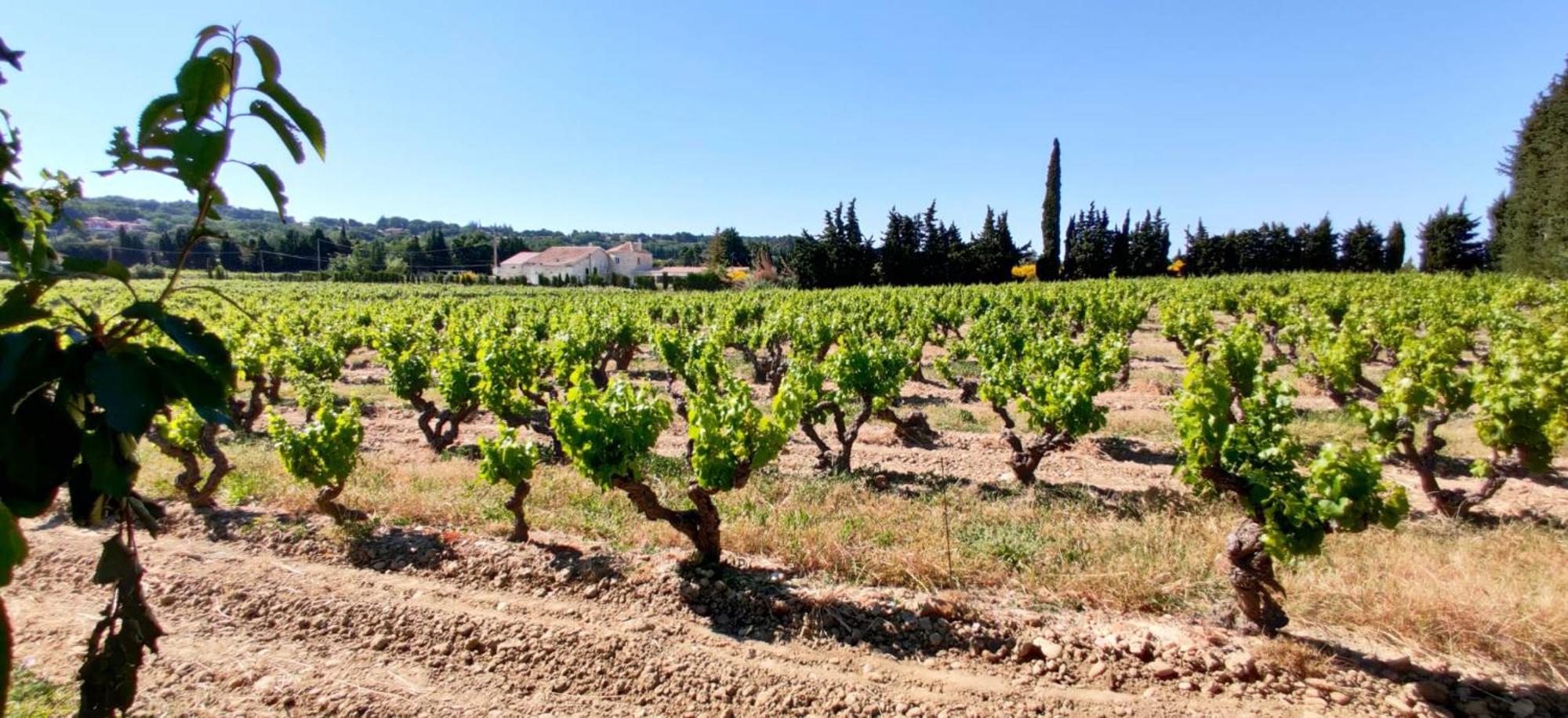Appartement Cosy Avec Terrasse Sur La Colline Boisee, Parking Prive, Jardin, Calme, Climatisation, 10 Mn Pont Du Gard Num7 *